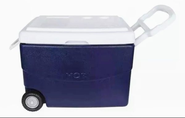 conservadora-mor-glacial-70-lts-con-ruedas-D_NQ_NP_613690-MLA40131148639_122019-F