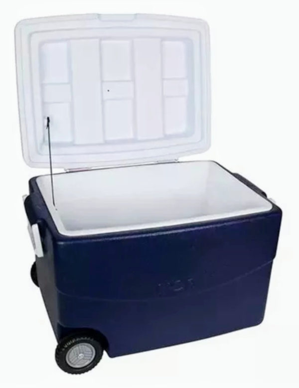 conservadora-mor-glacial-70-lts-con-ruedas-D_NQ_NP_829992-MLA40131162464_122019-F